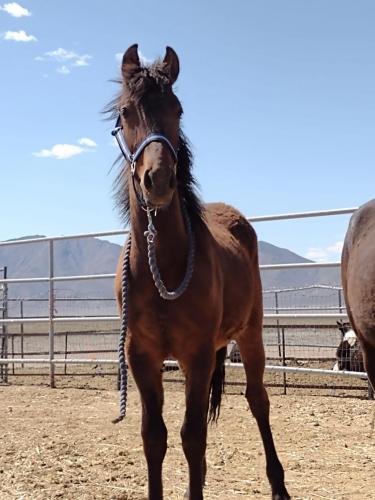 IMG_20210422_142131785