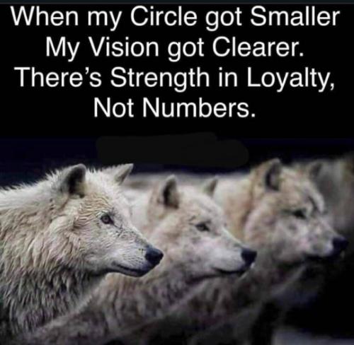 tumblr_9313fd6d50399b15f597649444d96498_9f9abb94_540