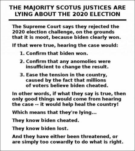 voterfraud163