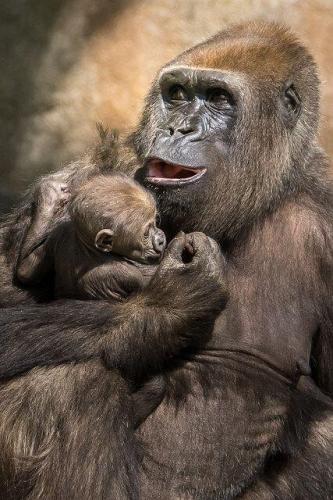 184070394_1569878976544780_55598821597397402_n