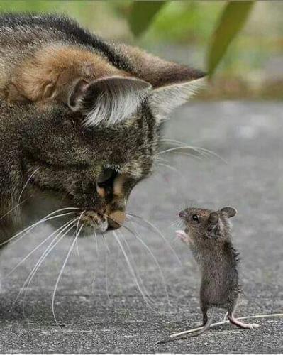 06:55:59 GMT-0500 (CDT)