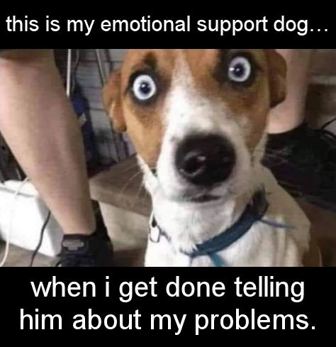 my emotional support dog