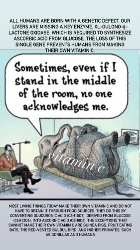 08:58:55 GMT-0500 (CDT).image