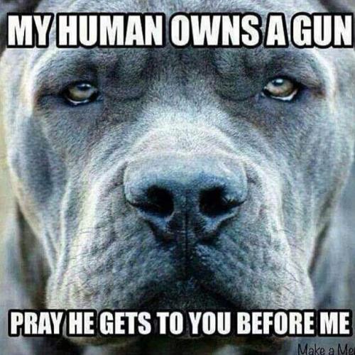 07:54:49 GMT-0500 (CDT)