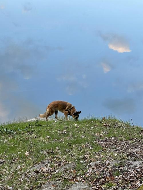 77F6D4EF-57F5-406F-9968-09D5AF496390