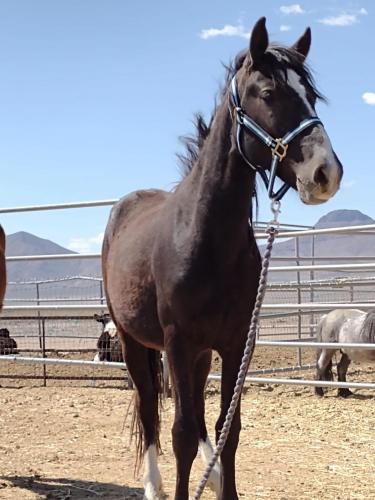 IMG_20210422_142129528