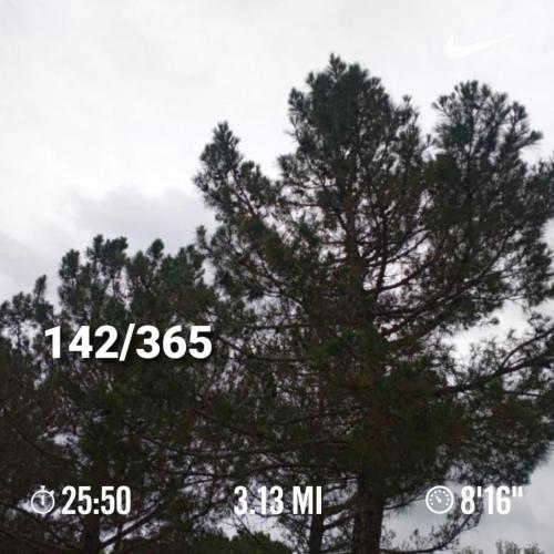 16:29:50 GMT-0500 (CDT)