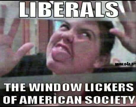 window lickers