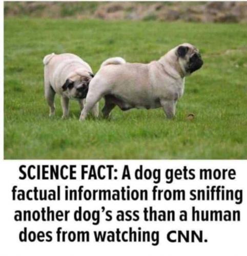 15:11:18 GMT-0400 (EDT)