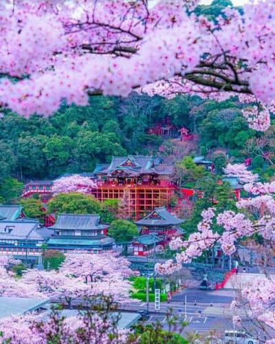 178907033_2845205795695878_5982143384192413324_n