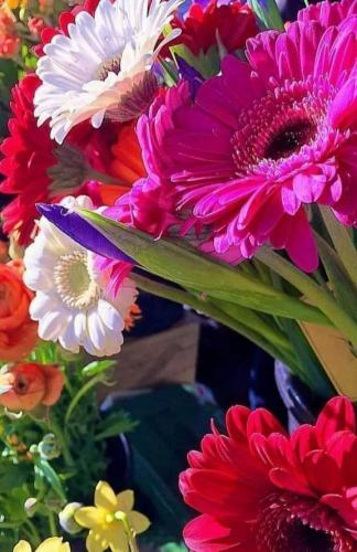 07:31:08 GMT-0500 (CDT)