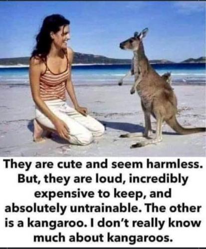 20:21:31 GMT-0700 (PDT)