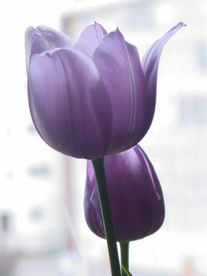 20:24:52 GMT-0500 (CDT)