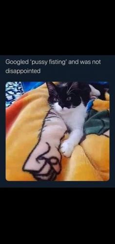 20:47:22 GMT-0700 (PDT)