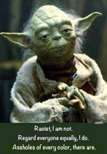 Racist - Yoda - Assholes Of Every Color There Are