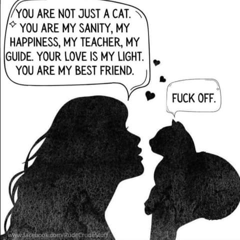 16:23:18 GMT-0700 (PDT)