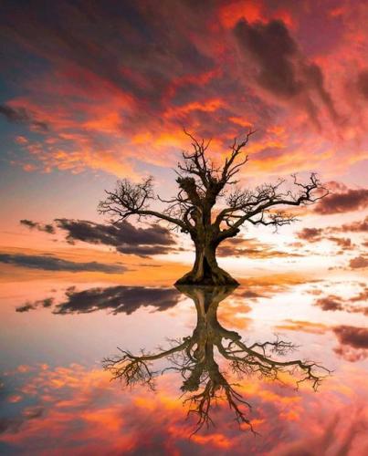 180412786_1859890074177196_4409264896593358460_n