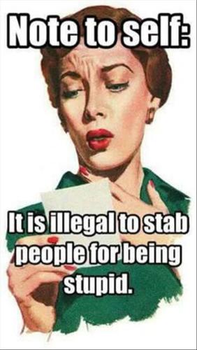 61279736_10157365154387090_2005670034113822720_n