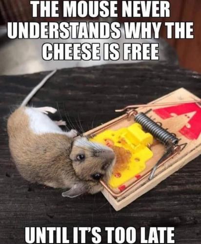 IMG_20210421_071413_640