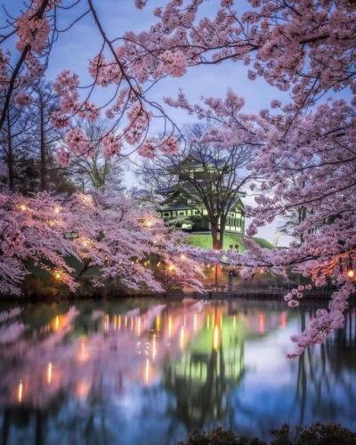 192098690_2866269646922826_5773628110334825270_n