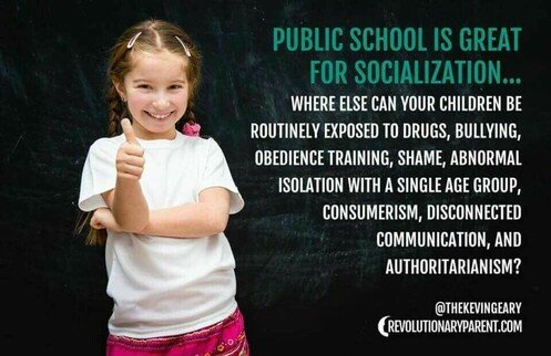 public schools