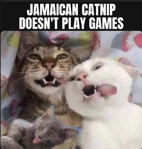 19:52:23 GMT-0700 (PDT)