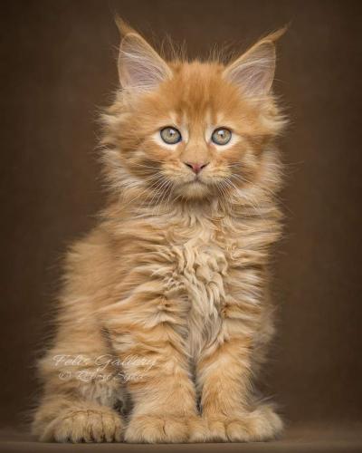 15:50:00 GMT-0500 (CDT)