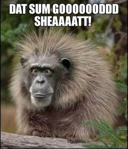 11:02:52 GMT-0700 (PDT)