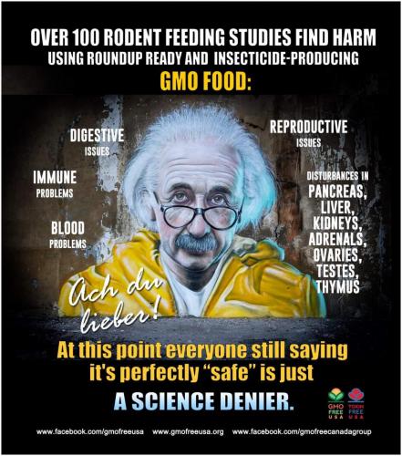 13:30:28 GMT-0300 (ADT)