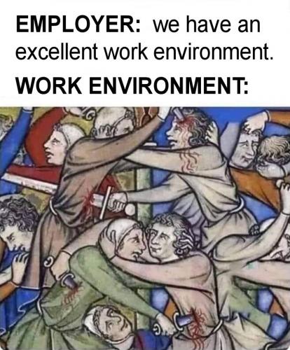 an excelent work environment