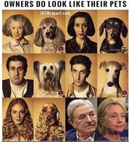 20:46:44 GMT-0400 (EDT)