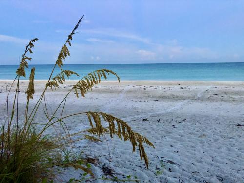 8DF7D71D-7391-4DE1-8985-589BC67E47B3