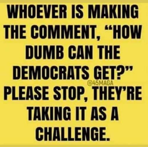 186525589_1449534372074883_1392552359256065467_n