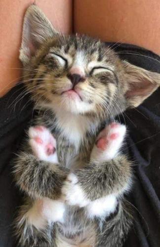 17:57:47 GMT-0500 (CDT)