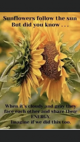 23:40:21 GMT+1200 (NZST).image