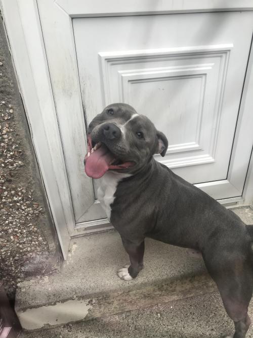 C7874C2C-AA89-4B7A-B72C-DDF63E7FE8F0