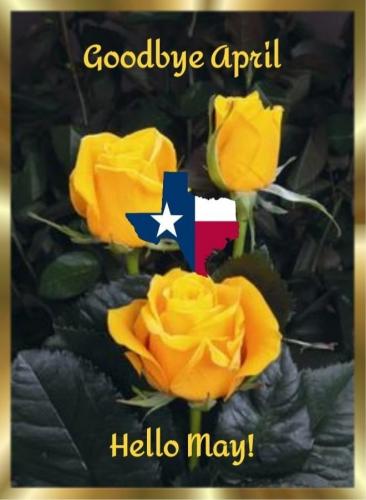 17:41:39 GMT-0500 (CDT).image