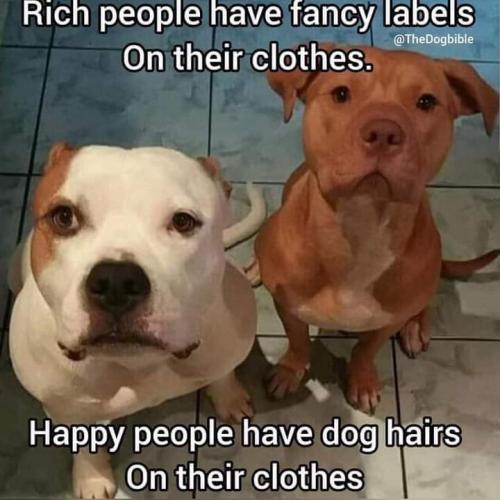 16:37:09 GMT-0400 (EDT)