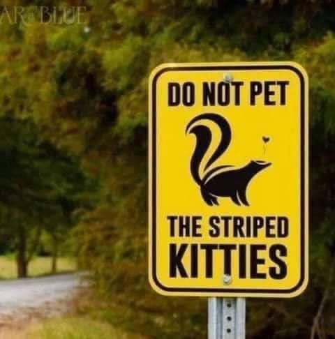 tumblr_9b4c3a982b8b18f30815c95005dd59a0_edf05b46_500