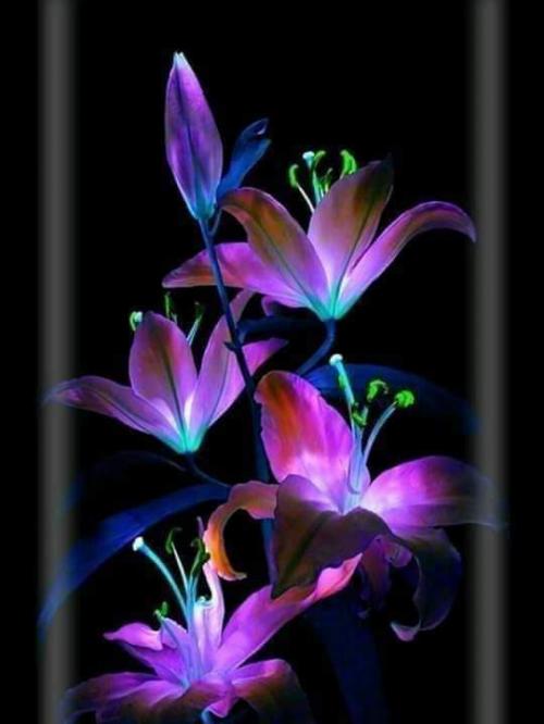 inbound4617082958536442998