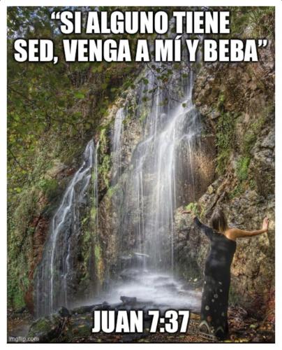 97CB0517-A7C1-4AF0-8016-890757E8C3B1