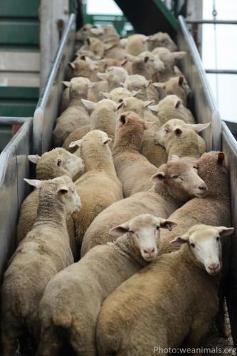 IMG_20210520_191926_504