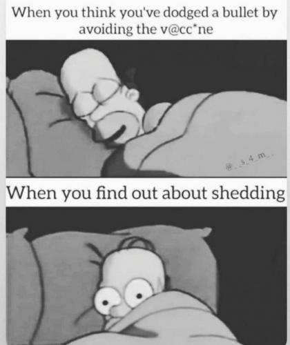 homersimpsonandshedding