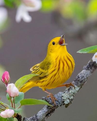 189654308_335162147987465_7980940617624132388_n