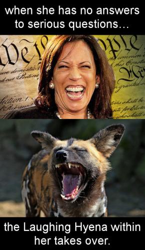 kamala harris132