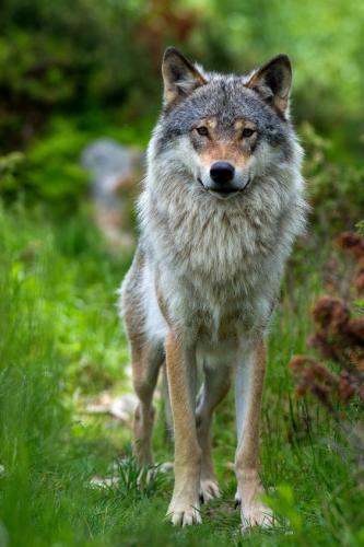 23d1800bc5edc9ea8877c95c5c47b4a4