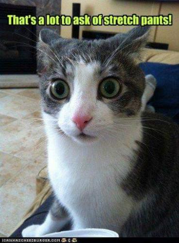 13:26:37 GMT-0500 (CDT)