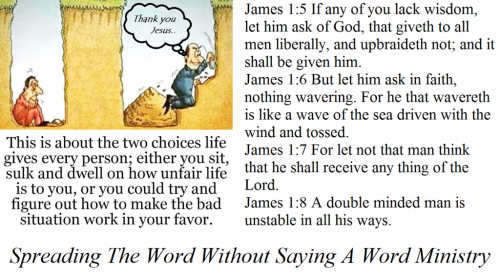 186508000_4218198054891566_8556404825452245630_n