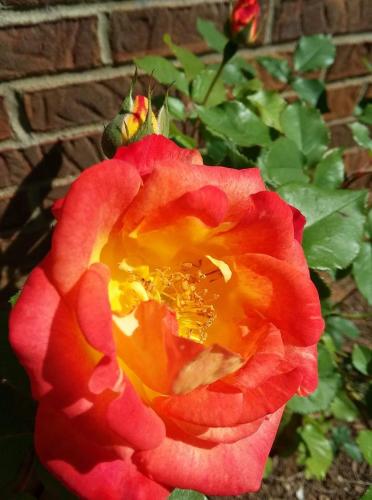 FB_IMG_1620745993660