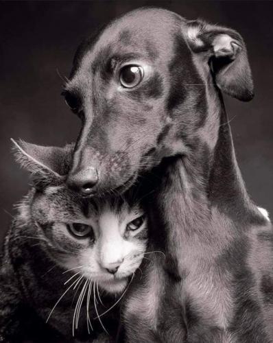 15:16:19 GMT-0500 (CDT)